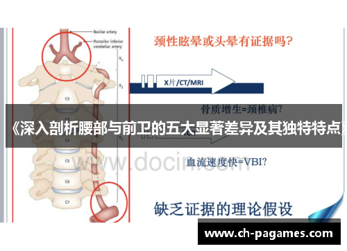 《深入剖析腰部与前卫的五大显著差异及其独特特点》