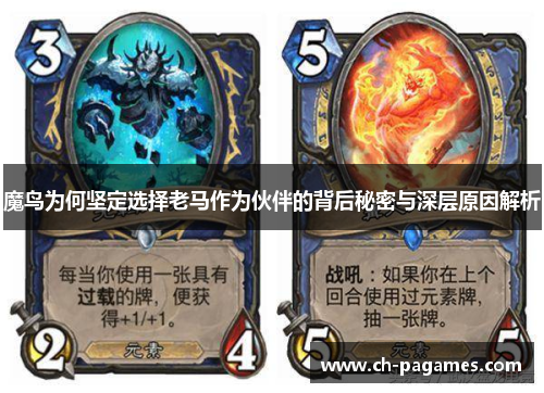 魔鸟为何坚定选择老马作为伙伴的背后秘密与深层原因解析