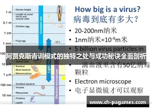 阿贾克斯青训模式的独特之处与成功秘诀全面剖析