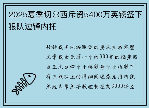 2025夏季切尔西斥资5400万英镑签下狼队边锋内托